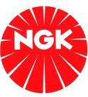 Искрова свещ NGK 7639