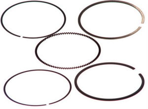 Сегменти к-т (1 опаковка) (1.2-1.5-2) 79.00 FORD 1.6 16V (Zetec S / ZH16) FOCUS / FIESTA (99 -)  GOETZE GT 08-141300-00 STD