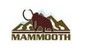 ксенонова лампа D2S 85V 35W P32D-2 (4300K) MAMMOOTH MMT F195 D2S