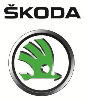 Капачка за масло (с уплътнение)  SEAT AROSA; SKODA 105,120, 130, FABIA I, FABIA I PRAKTIK, FAVORIT, FAVORIT FORMAN, FELICIA I, FELICIA II, OCTAVIA I; VW LUPO I 1.0-1.4 (08.76-03.08) (индивидуална поръчка) ORIGINAL VAG 1143047X485Q