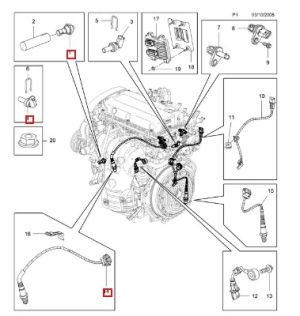 Датчик оборотите на разпределителния вал (вход) CHEVROLET AVEO / KALOS, CRUZE, ORLANDO, TRAX; OPEL ASTRA J, ASTRA J GTC, CORSA D, CORSA E, INSIGNIA A, MOKKA / MOKKA X, ZAFIRA B, ZAFIRA C 1.0-1.8LPG (08.06-) DELPHI SS10953