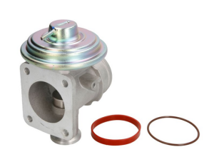 клапан EGR BMW 3 (E46), 5 (E39), 7 (E38), 7 (E65, E66, E67), X5 (E53) 2.0D-3.9D (01.96-12.07) DELPHI  EG10464-12B1