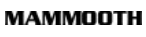 Крушка ксенонова (6000K)  D1S, 35W, 4300 К, 3200 lm., тип фасунга: PK32D-2, MAMNOOTH MMT F200 D1S 6000K